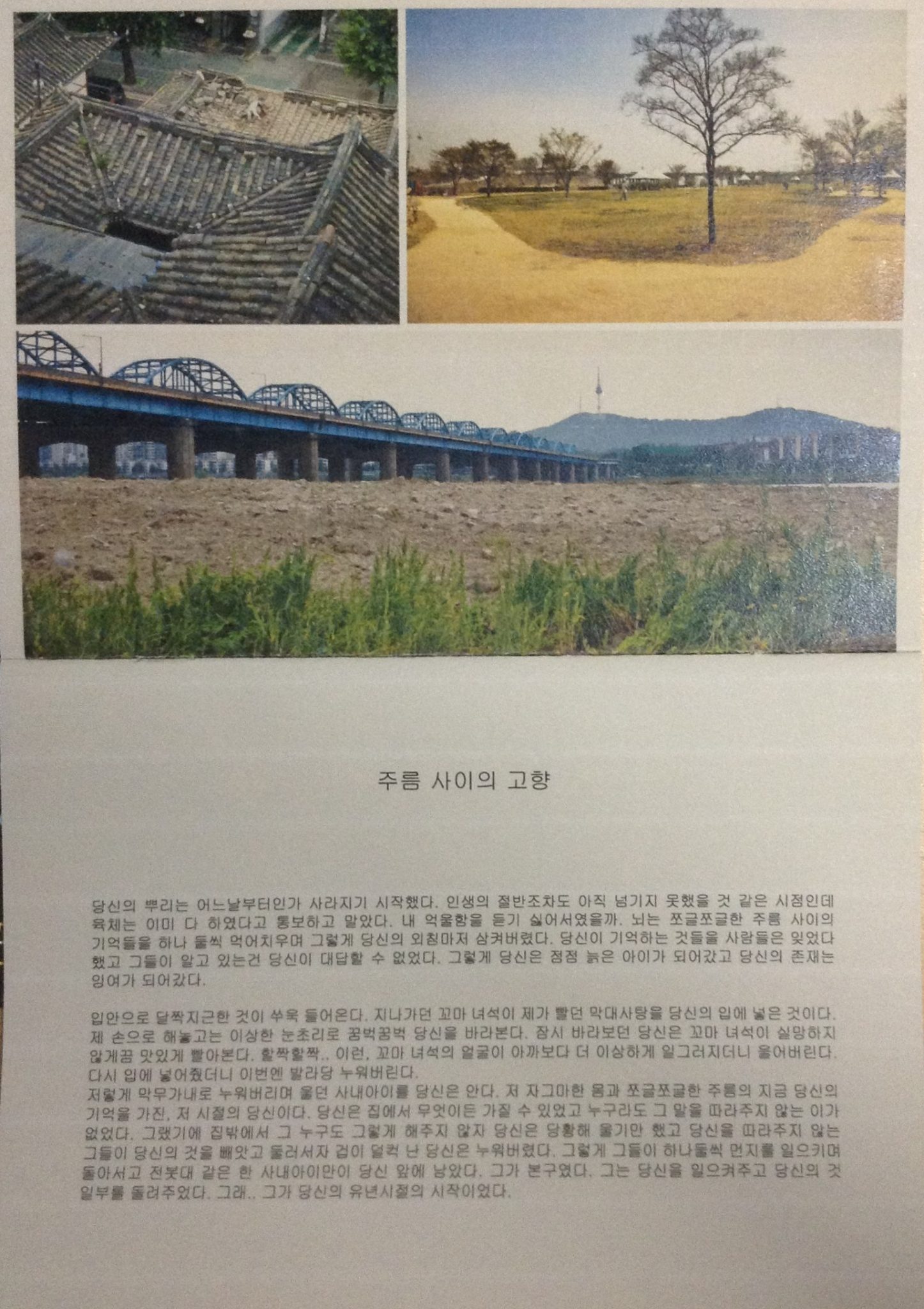 주름 사이의 고향1