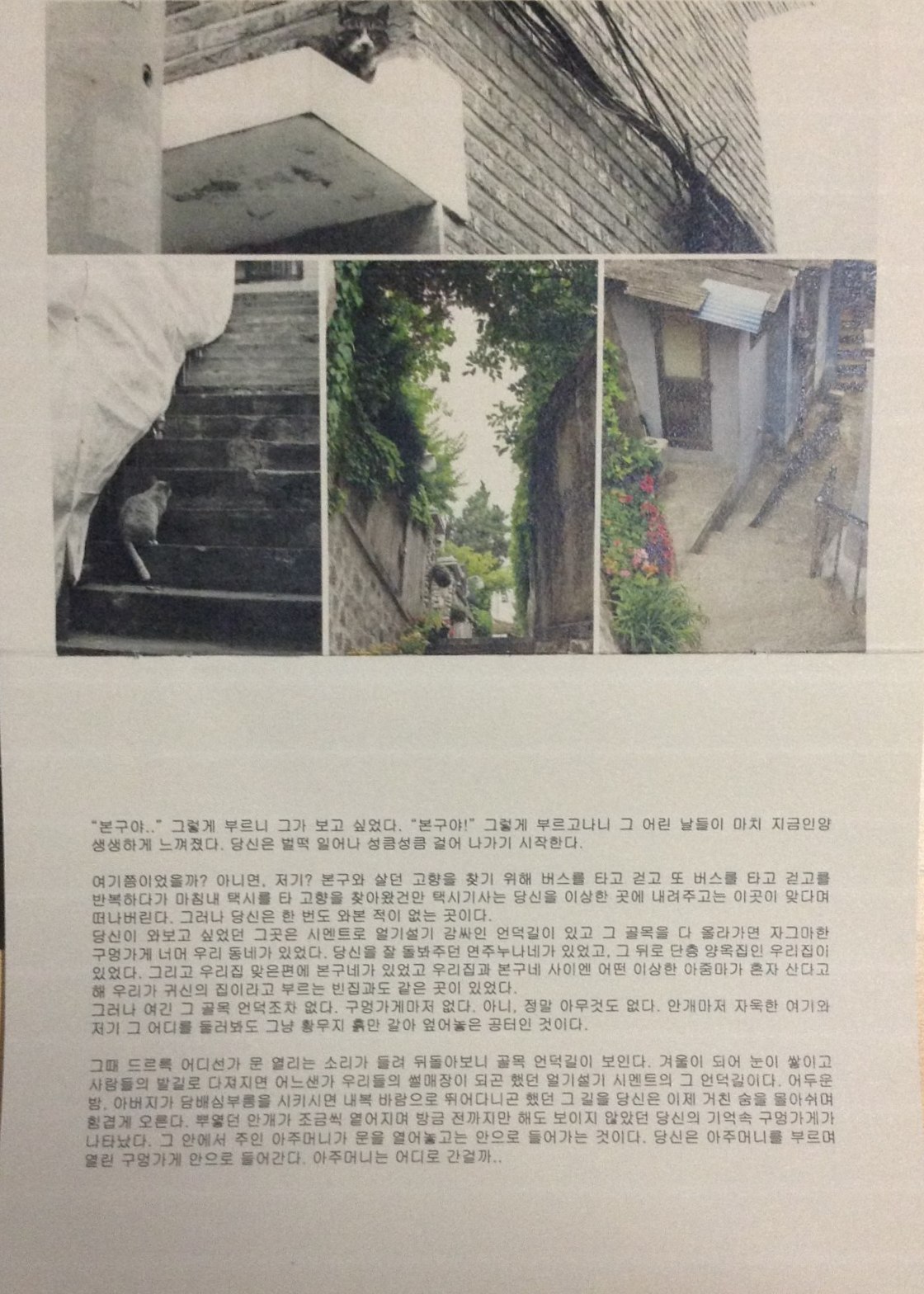 주름 사이의 고향2